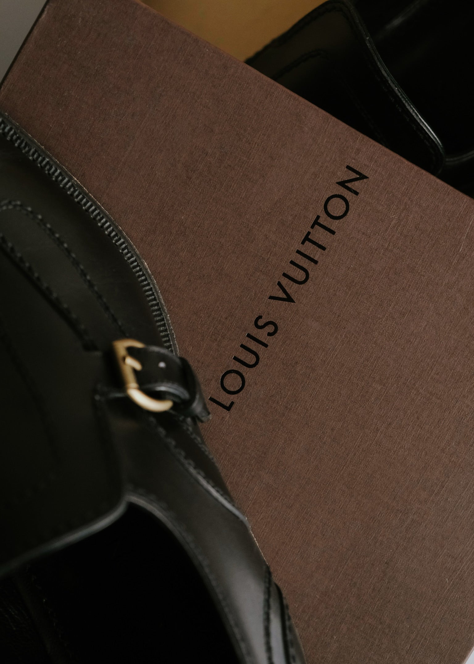 LOUIS VUITTON monk strap leather shoes
