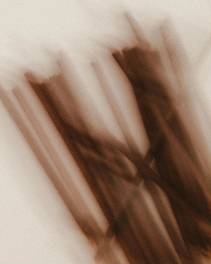 kibn Incense Sticks 005
